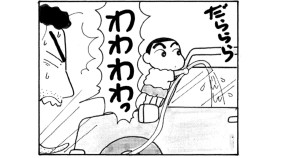 車のおそうじだゾ