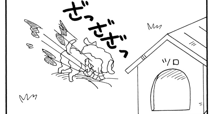 シロも恋の季節だゾ 