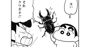 森でお宝ゲットだゾ