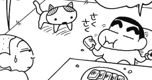 ネコちゃんを預かるゾ