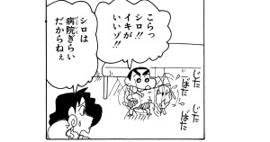 シロがお薬をのまないゾ