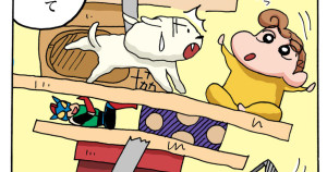 シロを遊ばせるゾ