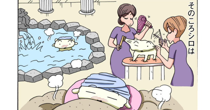 至れり尽くせりのシロ