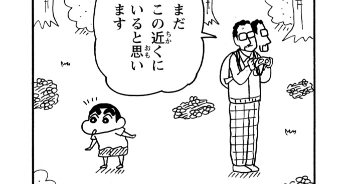 発見!!迷いインコだゾ 