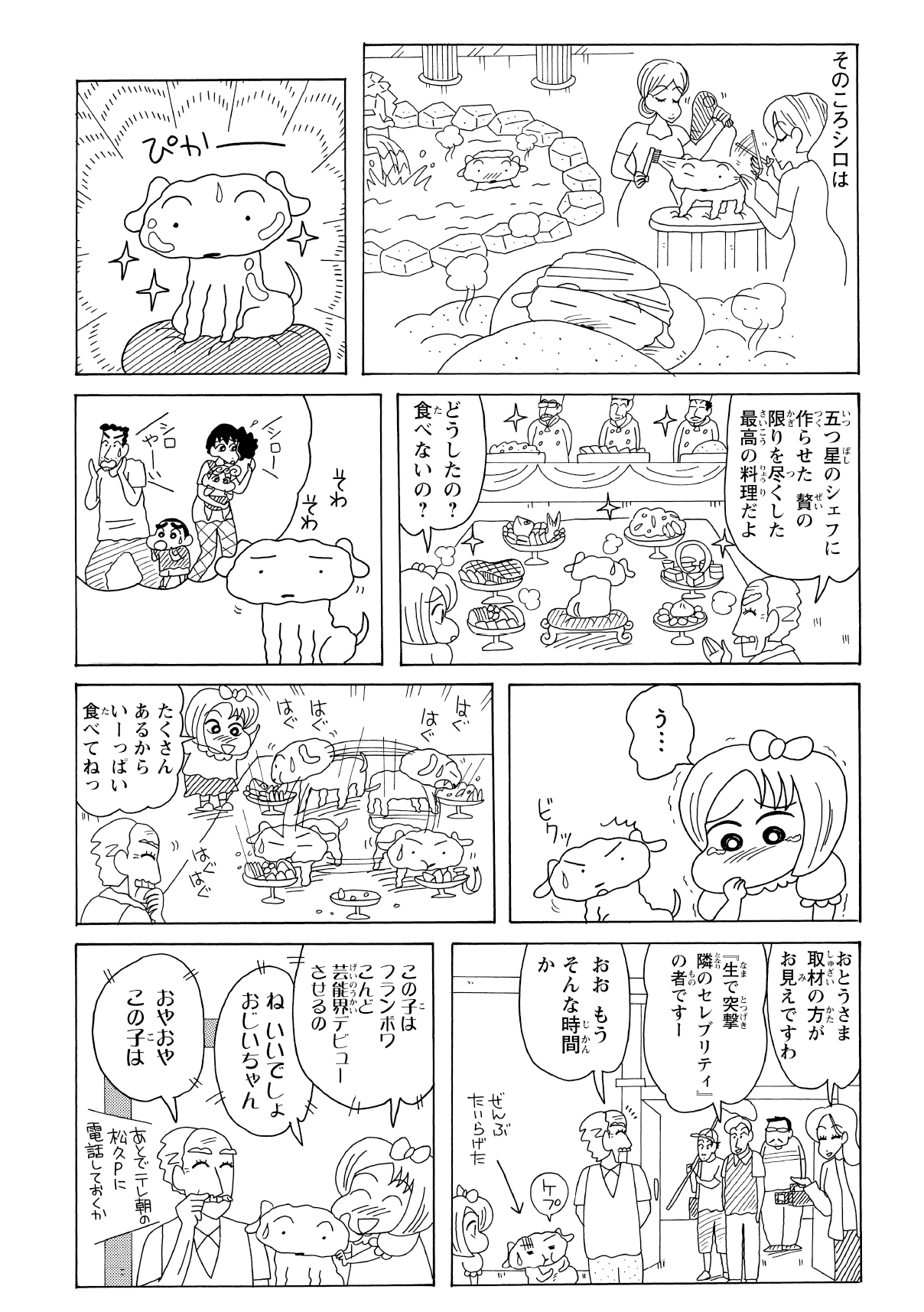お屋敷で最高級のおもてなしを受け、ピカピカにしてもらったシロ。さらにはテレビ局まで取材に訪れ、「セレブのペット」としてテレビで紹介される。