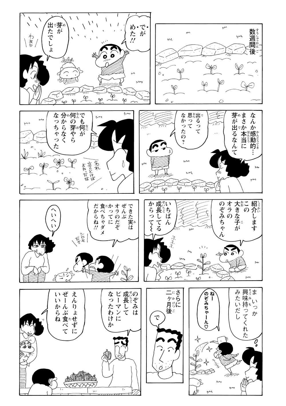 数週間後、無事に芽が出て大喜びするみさえとしんのすけ。しかし、育ったのはしんのすけの大嫌いなピーマンだった。