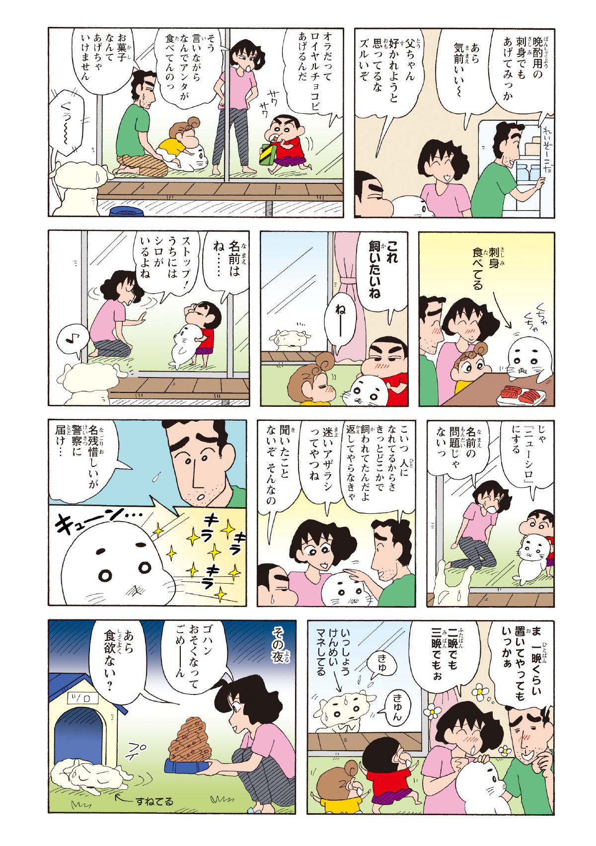 野原一家がアザラシ（ゴマちゃん）に刺し身やチョコビを与え、名前や飼い主について話し合う。アザラシが可愛らしく鳴き一家を惑わす中、愛犬シロがアザラシの真似をして嫉妬のような行動を見せる。