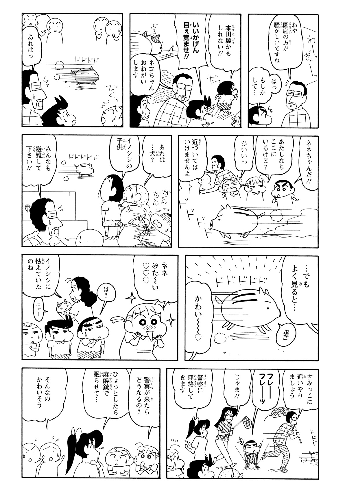 猫が降りられなかった理由は、足元をうり坊が走り回って威嚇していたからだった。猫を救出するため、園長先生としんのすけたちは、まず原因であるうり坊を捕獲することに。