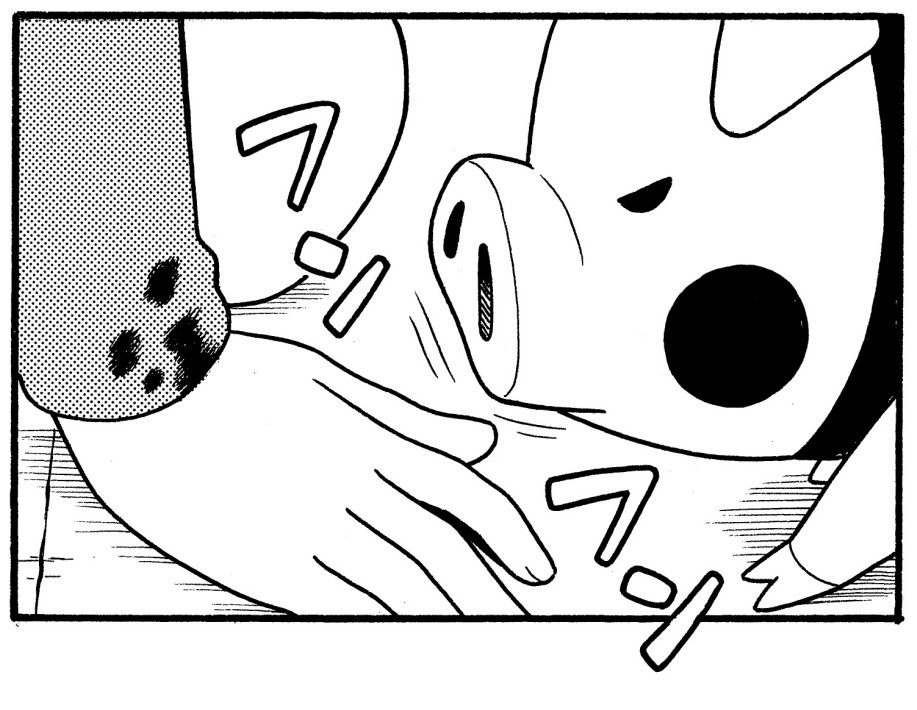 ピギー
